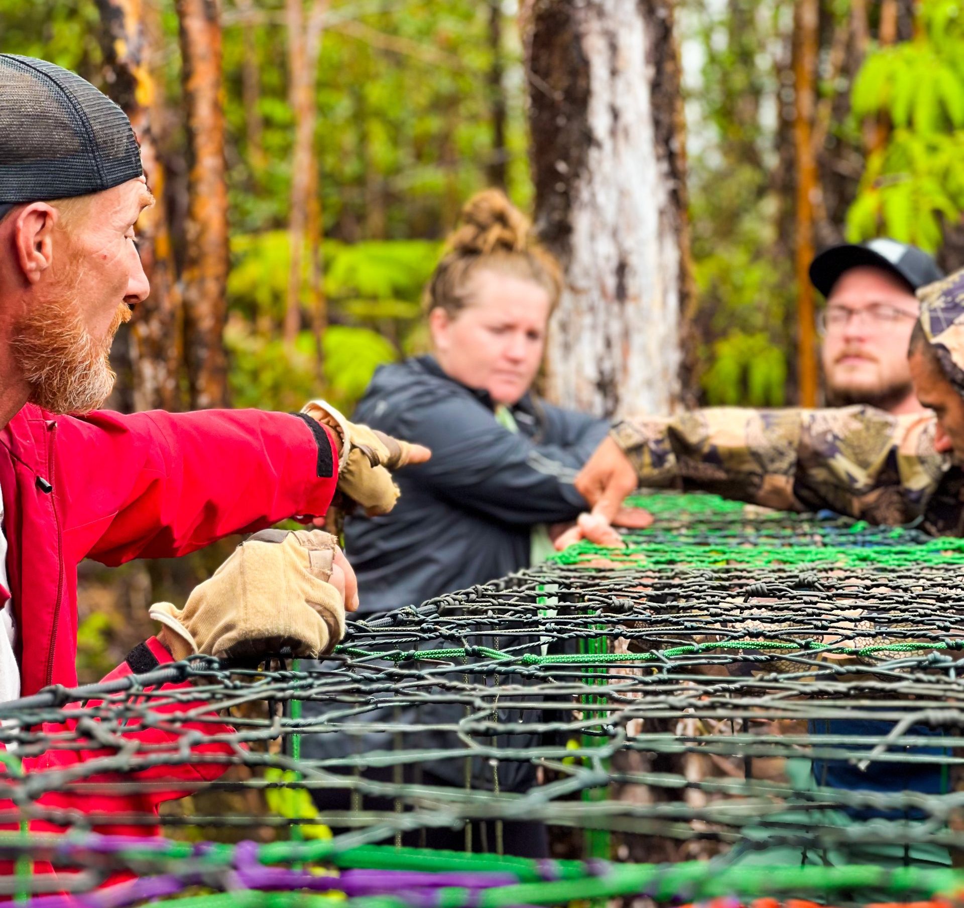 What We Build & Who It's For - Wild Webs